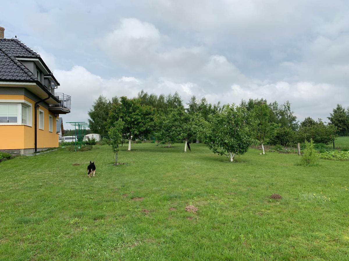 Agroturystyka Nad Wielkim Szelagiem Stare Jabłonki Exteriér fotografie